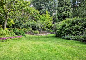 Optimiser l'expérience du jardin à Villy-lez-Falaise